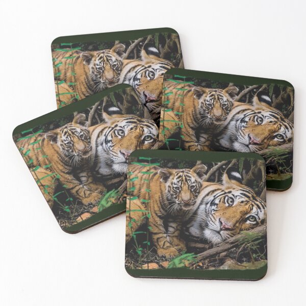 Item preview, TIGER CUDDLING designed and sold by THE AMERICAN TEEVANGELIST.