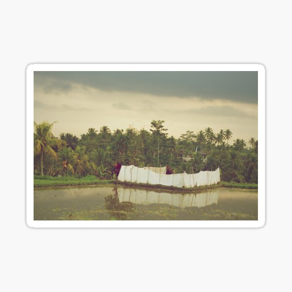 A Rice Field in Ubud Sticker
