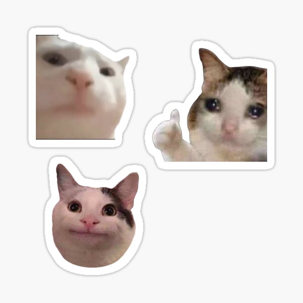 🏳️‍⚧️•💛🤍💜🖤 — Juparian sad cat meme icons for @voxinsocks