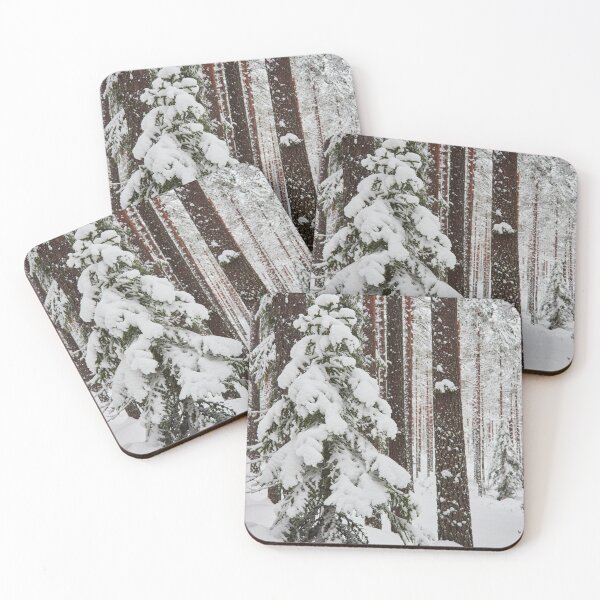 Item preview, Green spruce and red pines covered with white snow designed and sold by Jouko Lehto Photography.