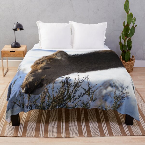 Item preview, Red Deer Calf In The Snow designed and sold by rawshutterbug.