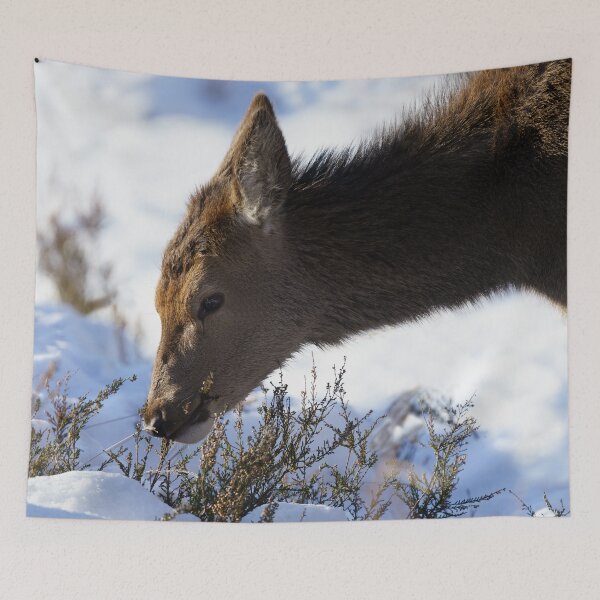 Item preview, Red Deer Calf In The Snow designed and sold by rawshutterbug.