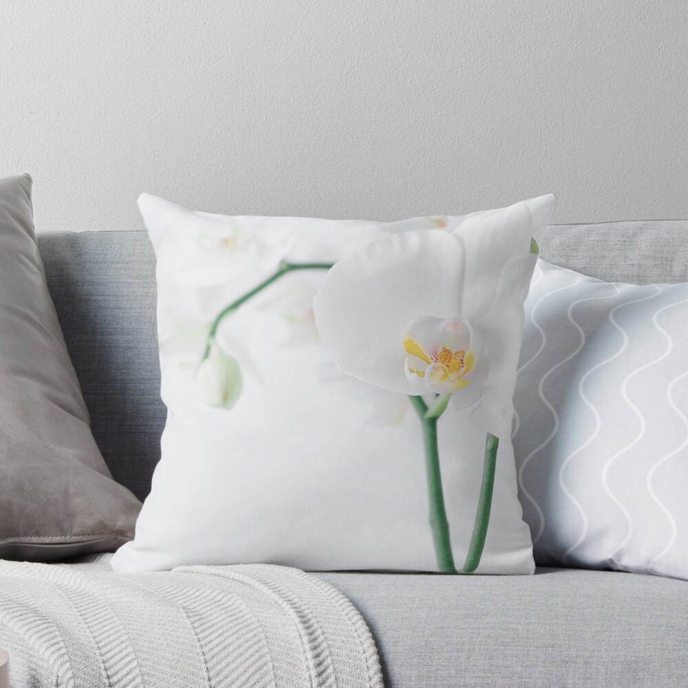 Aperçu de l'œuvre Coussin créée et vendue par JLXP972.