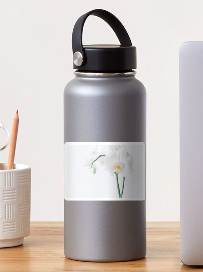 Aperçu 1 sur 3. Sticker avec l'œuvre Orchidée Phalaenopsis Blanche créée et vendue par JLXP972.