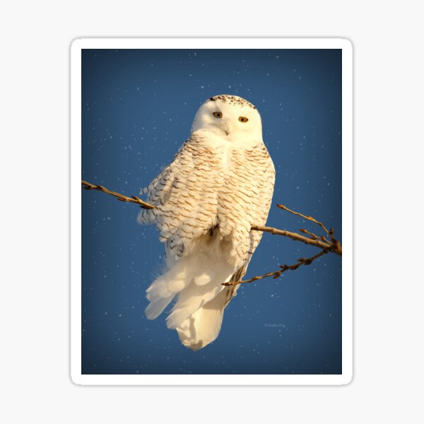 Guardian Angel Sticker