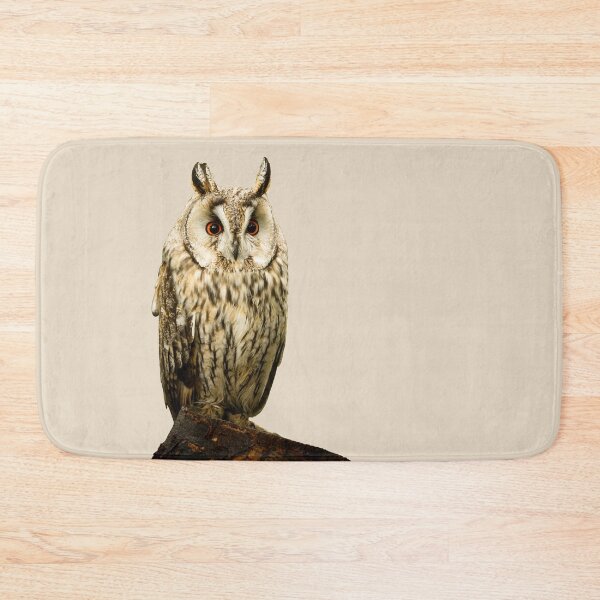 Item preview, Long-Eared Owl designed and sold by Jane Stanley Photography.