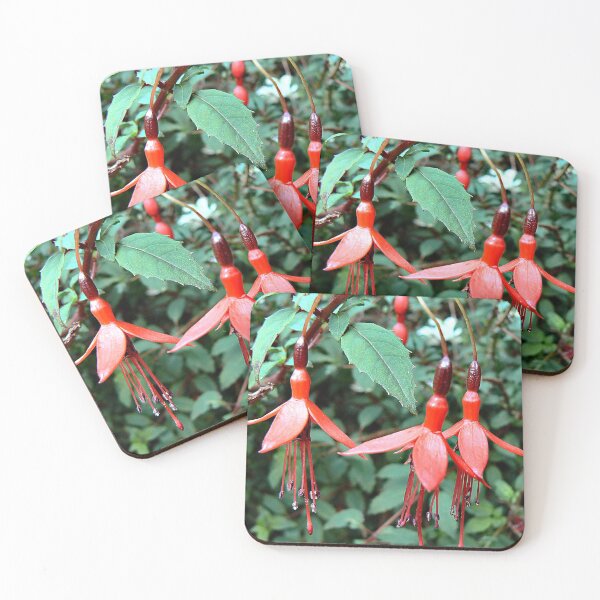 Item preview, Natures Decorations...The Fuscia . designed and sold by ronsaunders47.