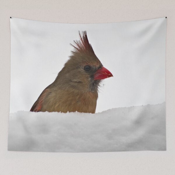 Item preview, Female Cardinal in the Snow designed and sold by Shelly Gunderson.
