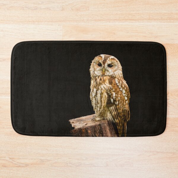 Item preview, Tawny Owl II designed and sold by Jane Stanley Photography.