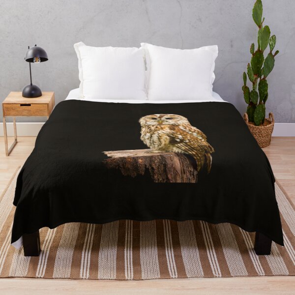 Item preview, Tawny Owl II designed and sold by Jane Stanley Photography.