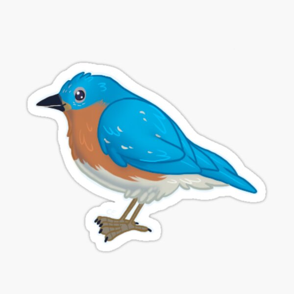 Eastern Blue Bird Sticker