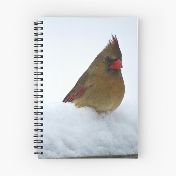 Item preview, Female Cardinal Sits In the Snow designed and sold by Shelly Gunderson.
