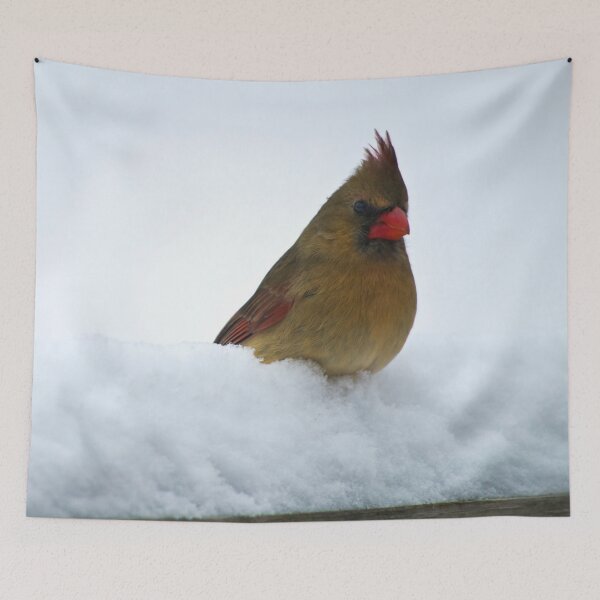 Item preview, Female Cardinal Sits In the Snow designed and sold by Shelly Gunderson.