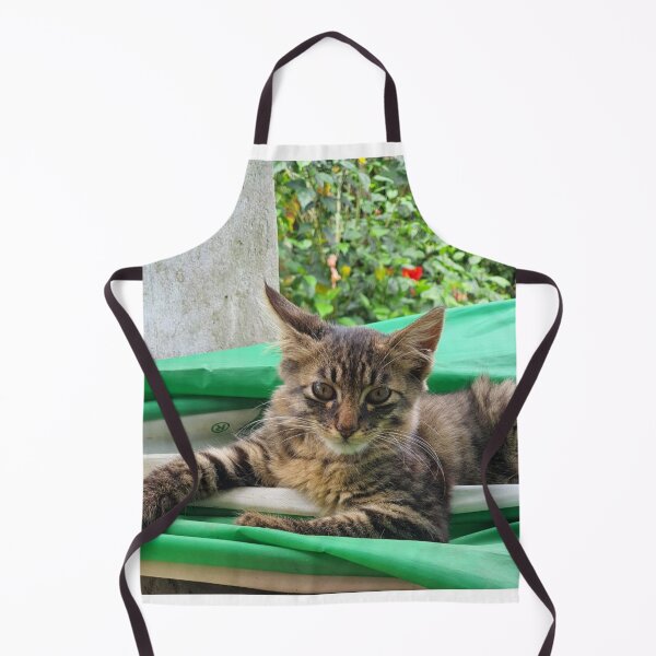 Item preview, You gotta be Kitten me  designed and sold by FaustineD.