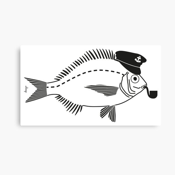 Sargo captain disego Canvas Print