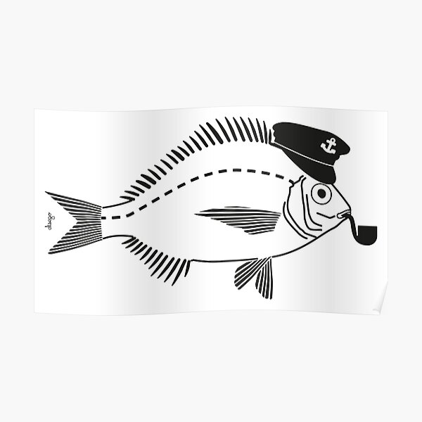 Sargo captain disego Poster