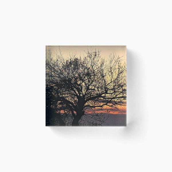 Item preview, Silhouette Bare Tree  Branches Sunset Sky designed and sold by Anna Lemos.