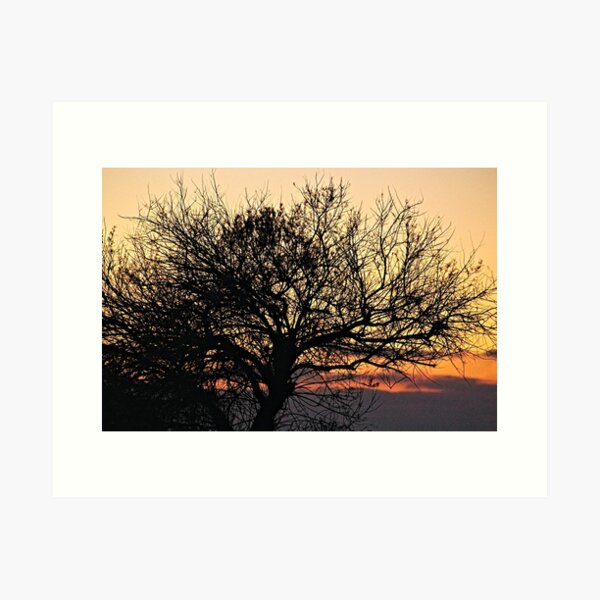 Item preview, Silhouette Bare Tree  Branches Sunset Sky designed and sold by Anna Lemos.