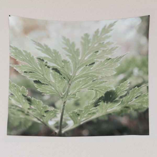 Item preview, Plantlife, ferns with plant veins designed and sold by Melissa Peltenburg.