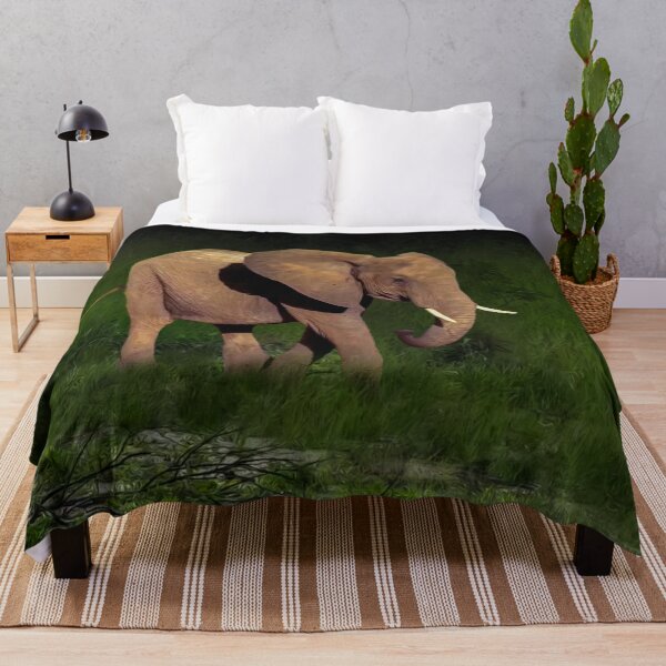 Item preview, Yuong elephant designed and sold by Guardi71.