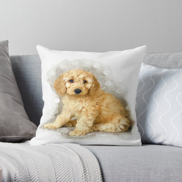 Labradoodle Pillows & Cushions for Sale | Redbubble
