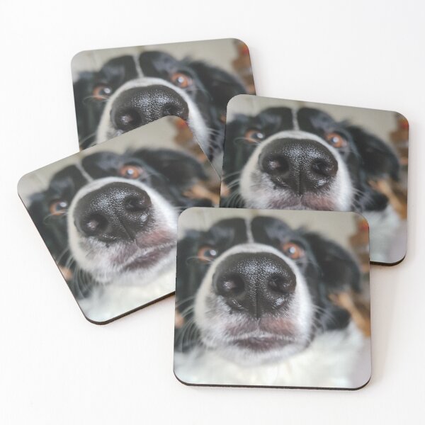 Item preview, Funny Border Collie nose boop designed and sold by obinrebel.