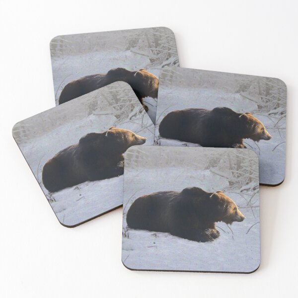 Item preview, Brown bear designed and sold by Guardi71.