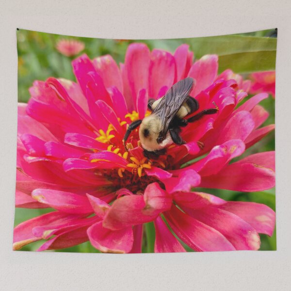 Item preview, Bumblebee on Pink Zinnia Flower on a Hot Summer Day designed and sold by PrettyLittlePic.