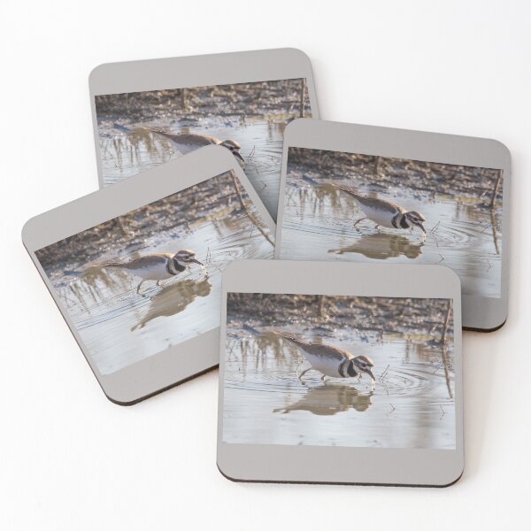 Item preview, Killdeer designed and sold by CarolM.