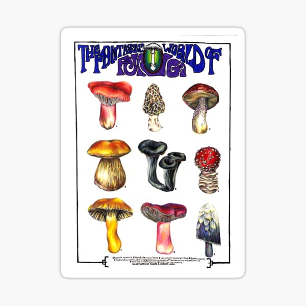 Item preview, Fantastic World of Fungi designed and sold by Art by Claire Christy-Tirado.
