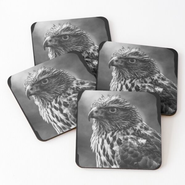 Item preview, BLACK HAWK designed and sold by THE AMERICAN TEEVANGELIST.