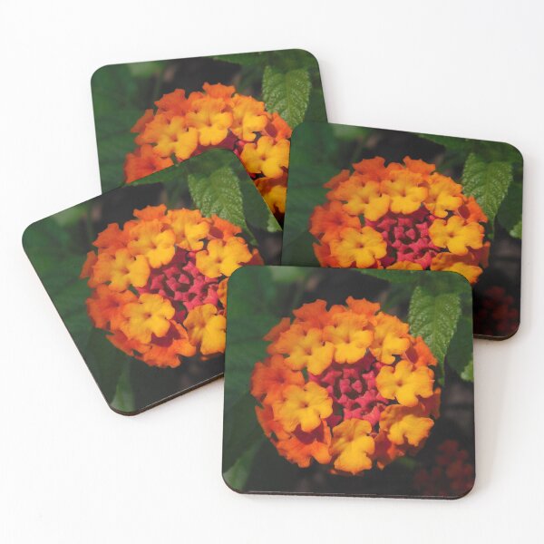 Item preview, Lantana Flower designed and sold by jul124.