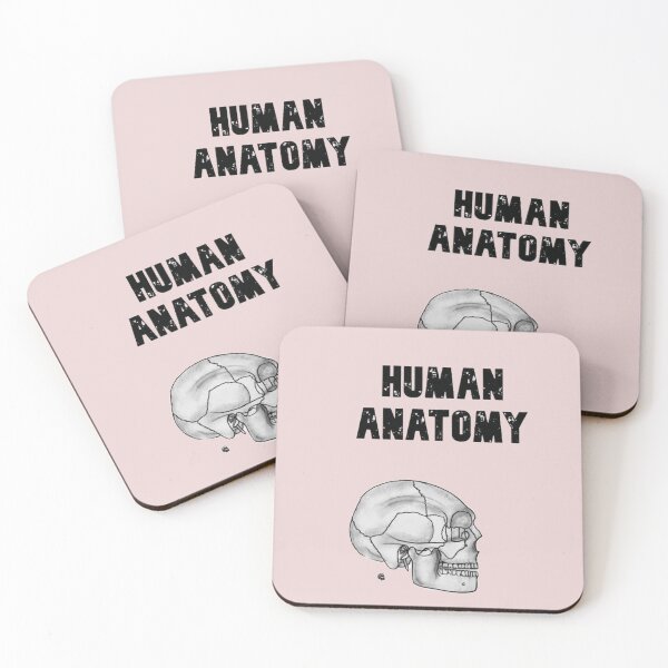 Item preview, Anatomy Skull designed and sold by Arte Del Cuerpo Humano.