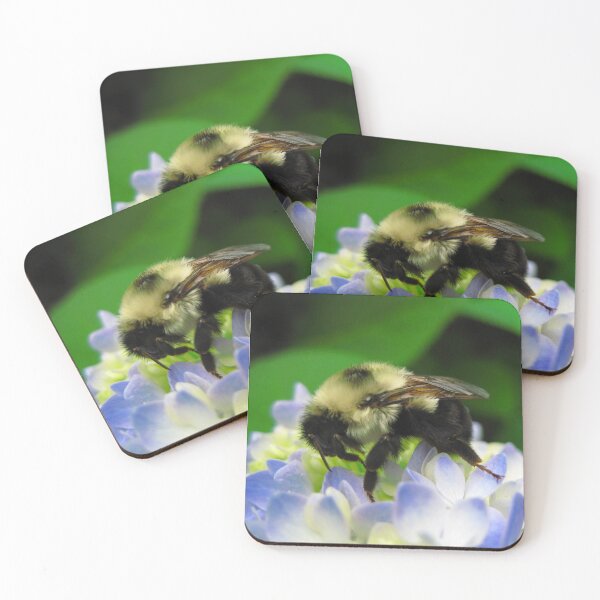 Item preview, Adorable Fuzzy Bumblebee on Blue Hydrangea Flowers on a Hot Summer Day designed and sold by PrettyLittlePic.