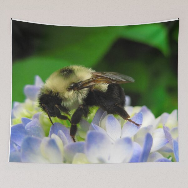 Item preview, Adorable Fuzzy Bumblebee on Blue Hydrangea Flowers on a Hot Summer Day designed and sold by PrettyLittlePic.