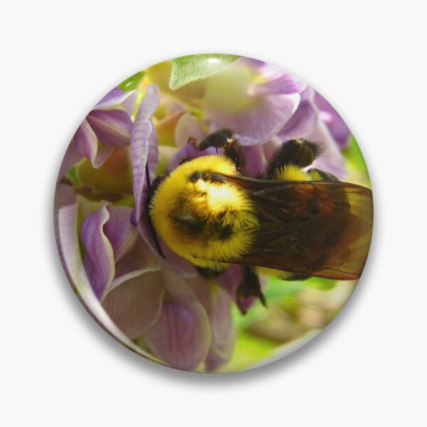 Item preview, Bumblebee on Purple Wisteria Blush with Purple Flowers on a Warm Sunny Spring Day designed and sold by PrettyLittlePic.