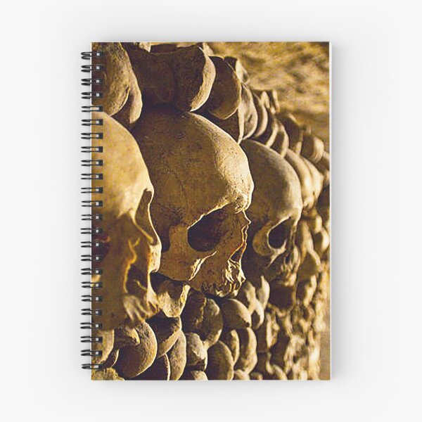 Item preview, Skulls in Paris Catacombs designed and sold by Nostrathomas66.