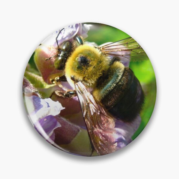 Item preview, Adorable Fuzzy Bumblebee on Purple Wisteria Blush with Purple Flowers on a Warm Sunny Spring Day designed and sold by PrettyLittlePic.