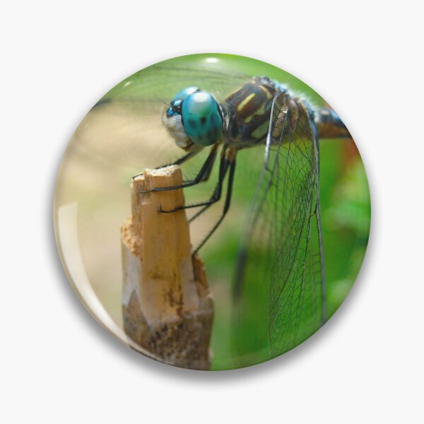 Item preview, Cute Dragonfly resting on a Bamboo Post on a Warm Summer Day designed and sold by PrettyLittlePic.