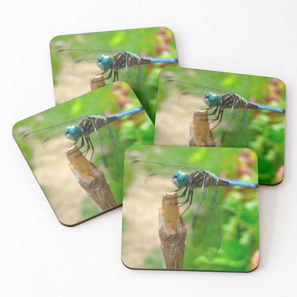 Item preview, Cute Dragonfly resting on a Bamboo Post on a Warm Summer Day designed and sold by PrettyLittlePic.
