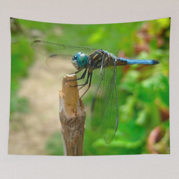 Item preview, Cute Dragonfly resting on a Bamboo Post on a Warm Summer Day designed and sold by PrettyLittlePic.