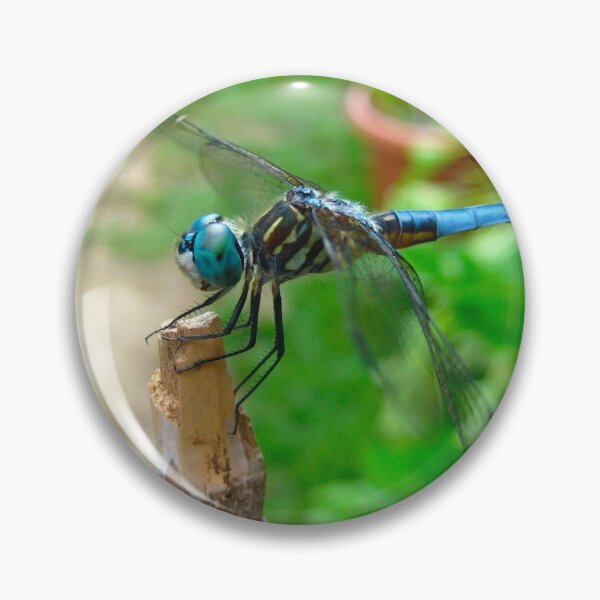 Item preview, Cute Dragonfly resting on a Bamboo Post on a Warm Summer Day designed and sold by PrettyLittlePic.