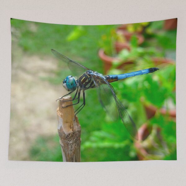 Item preview, Cute Dragonfly resting on a Bamboo Post on a Warm Summer Day designed and sold by PrettyLittlePic.