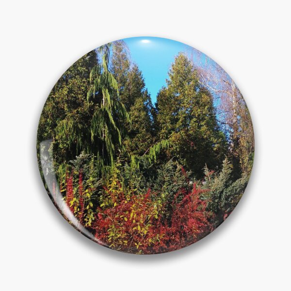Item preview, Bright landscape - coniferous trees - autumn leaves designed and sold by Zavola.