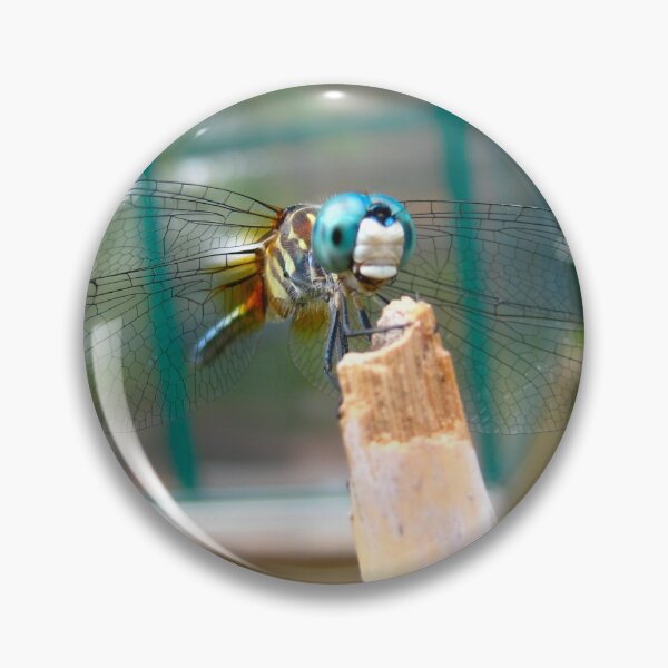 Item preview, Adorable Dragonfly resting on a Bamboo Post on a Warm Summer Day  designed and sold by PrettyLittlePic.