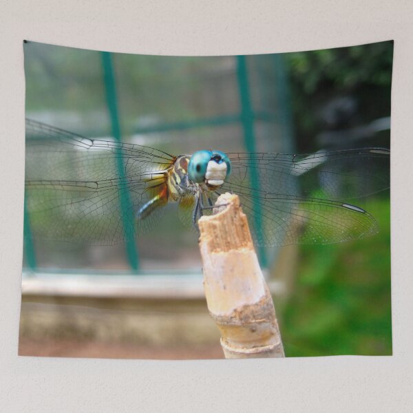 Item preview, Adorable Dragonfly resting on a Bamboo Post on a Warm Summer Day  designed and sold by PrettyLittlePic.