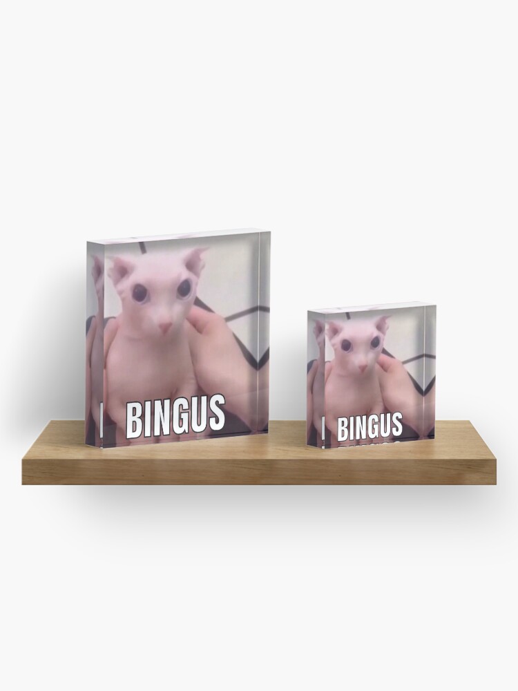 bingus Acrylic Block
