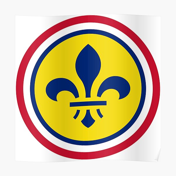 St. Louis Sports Teams Flag Poster, St. Louis Cardinals St. Louis Blues  Poster Flag