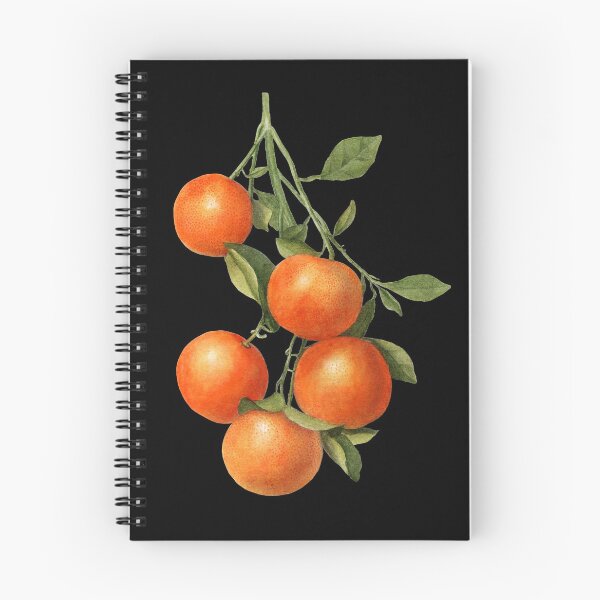 Item preview, Vintage Orange Fruit Hand Drawn Illustration designed and sold by No AI Classic Vintage Art.