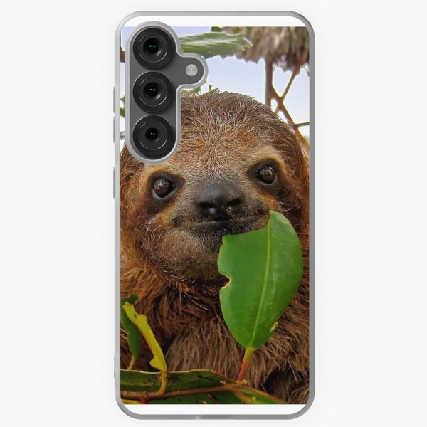 Item preview, Baby Brown throated Three toed sloth designed and sold by Seaphotoart.